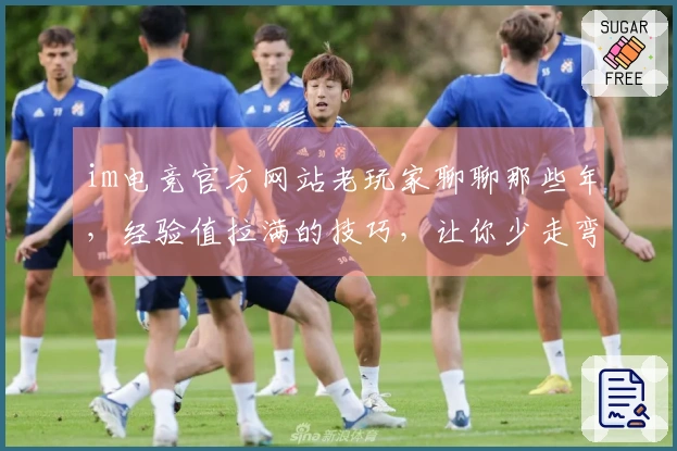 im电竞官方网站老玩家聊聊那些年，经验值拉满的技巧，让你少走弯路！