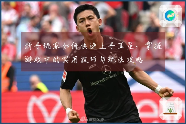 新手玩家如何快速上手亚星，掌握游戏中的实用技巧与玩法攻略