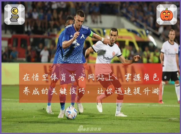 在悟空体育官方网站上,掌握角色养成的关键技巧,让你迅速提升游戏体验!