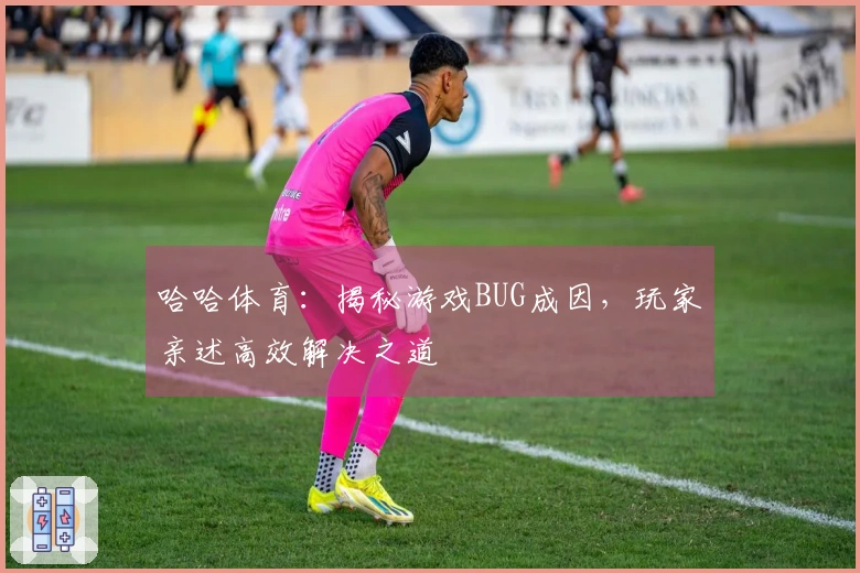 哈哈体育：揭秘游戏BUG成因，玩家亲述高效解决之道